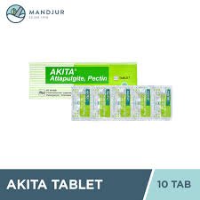 AKITA TAB