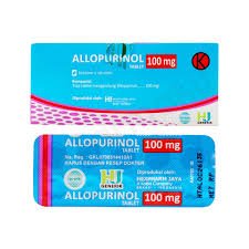ALLOPURINOL 100 MG TAB (HJ) 10X10