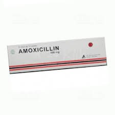 AMOXICILLIN 500 MG TAB ( PHARMALAB)