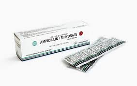 AMPICILLIN 500 MG TAB (NOVA)