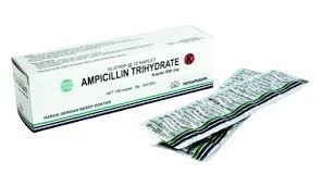 AMPICILLIN 500 MG TAB (SELES)