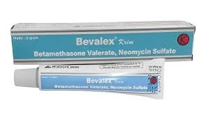 BEVALEX CR 5 GR