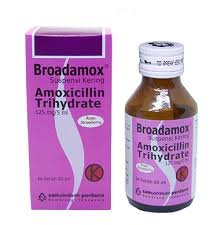 BROADAMOX 125 MG SYR