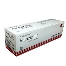 AMOXICILLIN 500 MG (SHAMP)