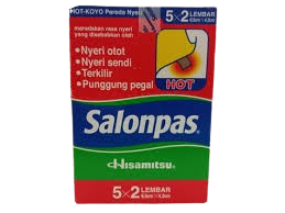 SALONPAS HOT BOX 10’S