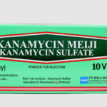 KANAMYCIN 1 GR INJEKSI
