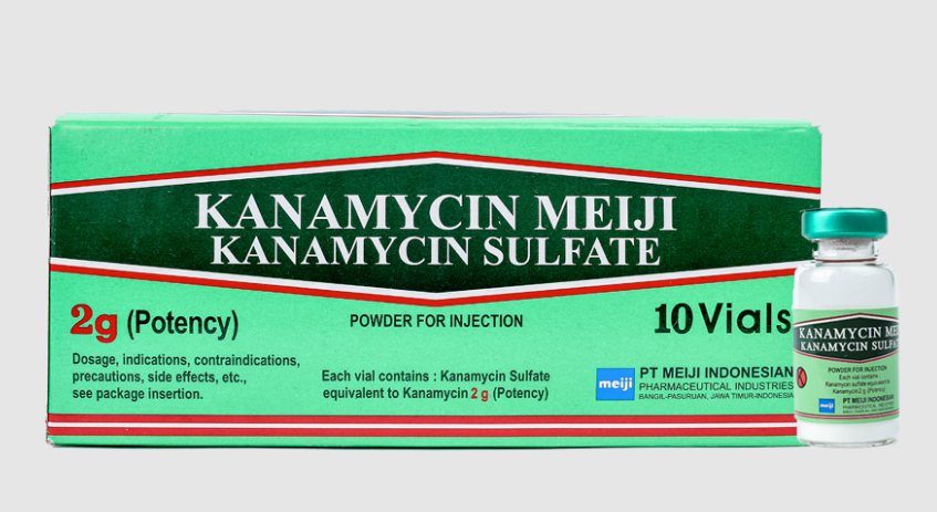 KANAMYCIN 1 GR INJEKSI
