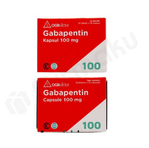 GABAPENTIN 100 MG (DEXA)