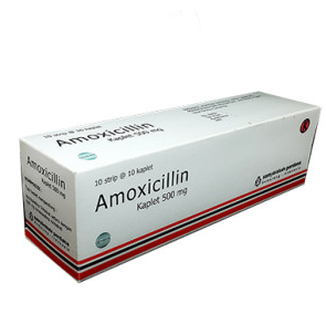 AMOXICILLIN 500 MG (SELES)